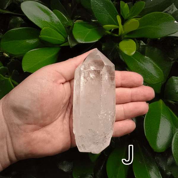 A large clear quartz point in the palm of a hand with a green, leafy background. It is quite large. Labeled 'J'.