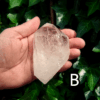 Large clear quartz crystal point with leafy bush backround, labeled 'B'.