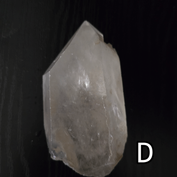 Large clear quartz crystal point with black backround, labeled 'D'.