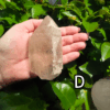 Large clear quartz crystal point with leafy bush backround, labeled 'D'.