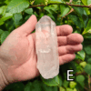 Large clear quartz crystal point with leafy bush backround, labeled 'E'.