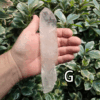 Large clear quartz crystal point with leafy bush backround, labeled 'G'.