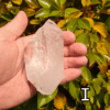 Large clear quartz crystal point with leafy bush backround, labeled 'I'.