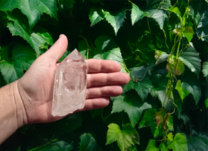 A large clear quartz point in the palm of a hand, it is quite large.