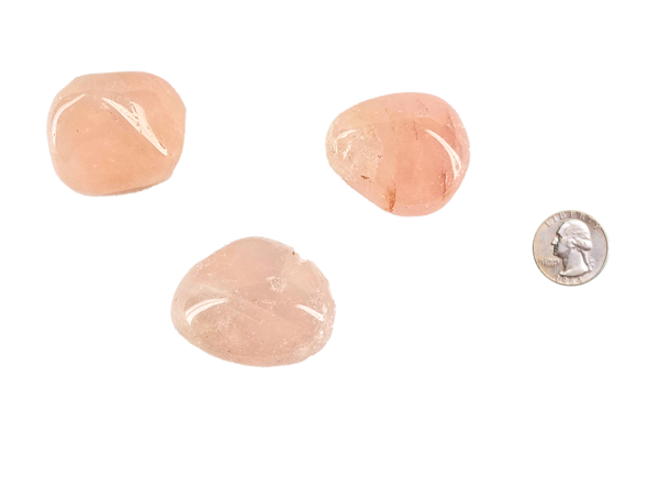 A group of three extra large rose quartz with deep pink hues, with a quarter for comparison. These stones are about 4 times the size of the quarter.