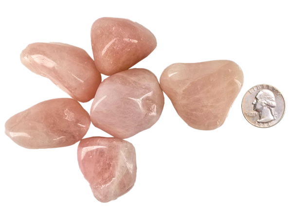 A pile of rose quartz stones large with deep pink hues with a quarter for comparison. All stones are larger than the quarter, about 1.5 times.