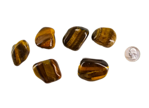 Large A Grade Tiger's Eye tumbled stones with smooth, polished surfaces showcasing rich golden-brown hues and a captivating chatoyancy shimmer, compared to the size of a quarter, it is larger.