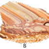 A polished slab of wave dolomite with intricate wavy patterns in the stone, colors ranging from red to beige. Labeled B.