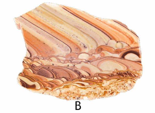 A polished slab of wave dolomite with intricate wavy patterns in the stone, colors ranging from red to beige. Labeled B.