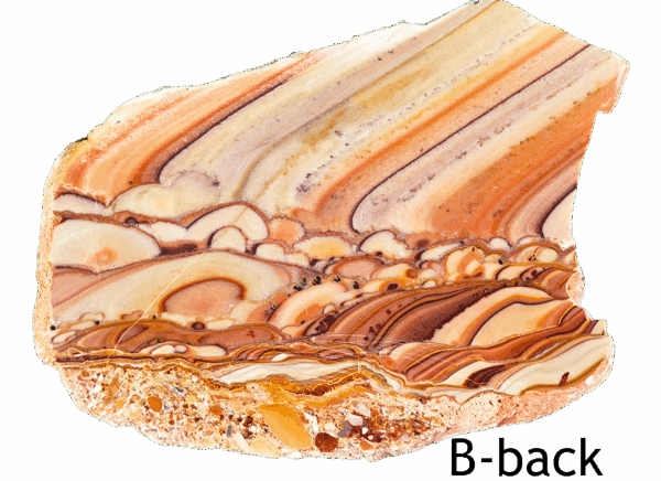 A polished slab of wave dolomite with intricate wavy patterns in the stone, colors ranging from red to beige. Labeled B-back.