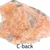 The back side of a wave dolomite slab, it is not polished. Labeled c-back.