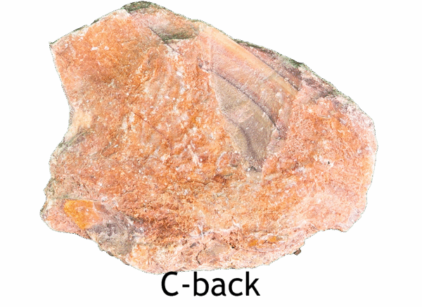 The back side of a wave dolomite slab, it is not polished. Labeled c-back.