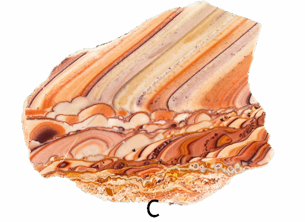 A polished slab of wave dolomite with intricate wavy patterns in the stone, colors ranging from red to beige. Labeled C.