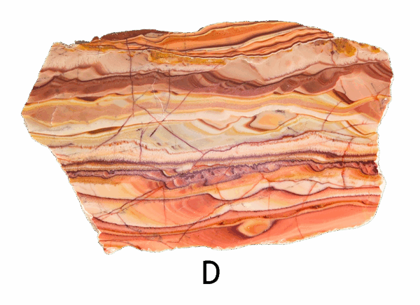 A polished slab of wave dolomite with intricate wavy patterns in the stone, colors ranging from red to beige. Labeled D.