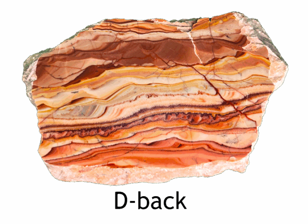 A polished slab of wave dolomite with intricate wavy patterns in the stone, colors ranging from red to beige. Labeled D-back.
