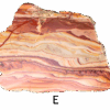 A polished slab of wave dolomite with intricate wavy patterns in the stone, colors ranging from red to beige. Labeled E.