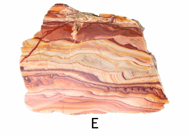 A polished slab of wave dolomite with intricate wavy patterns in the stone, colors ranging from red to beige. Labeled E.