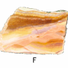 A polished slab of wave dolomite with intricate wavy patterns in the stone, colors ranging from red to beige. Labeled F.