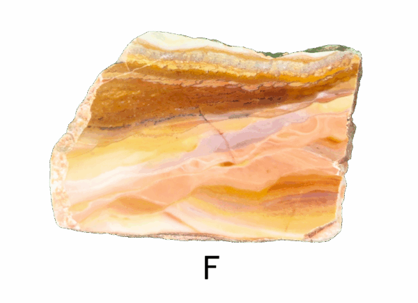 A polished slab of wave dolomite with intricate wavy patterns in the stone, colors ranging from red to beige. Labeled F.