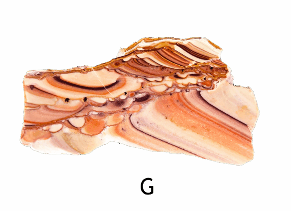 A polished slab of wave dolomite with intricate wavy patterns in the stone, colors ranging from red to beige. Labeled G.