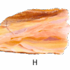 A polished slab of wave dolomite with intricate wavy patterns in the stone, colors ranging from red to beige. Labeled H.