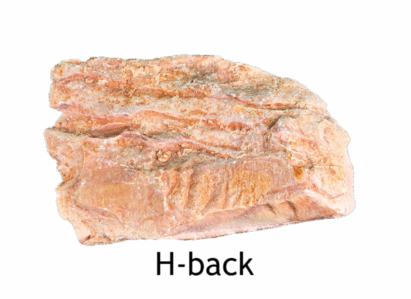 The back side of a wave dolomite slab, it is not polished. Labeled H-back.