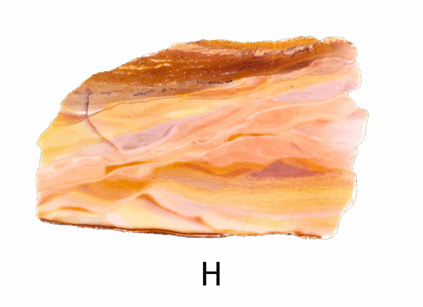A polished slab of wave dolomite with intricate wavy patterns in the stone, colors ranging from red to beige. Labeled H.