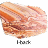 A polished slab of wave dolomite with intricate wavy patterns in the stone, colors ranging from red to beige. Labeled I-back.