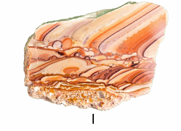 A polished slab of wave dolomite with intricate wavy patterns in the stone, colors ranging from red to beige. Labeled I.