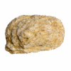 An extra large hollow moroccan geode, showing a geode with tan and white colors with a white background.