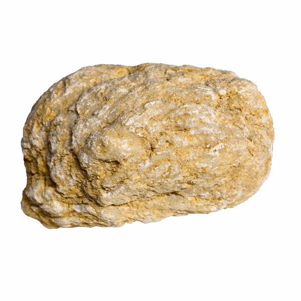 An extra large hollow moroccan geode, showing a geode with tan and white colors with a white background.