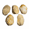 A group shot of extra large hollow moroccan geodes, showing 5 geodes with tan and white colors with a white background.