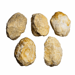 A group shot of extra large hollow moroccan geodes, showing 5 geodes with tan and white colors with a white background.