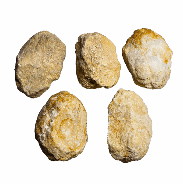 A group shot of extra large hollow moroccan geodes, showing 5 geodes with tan and white colors with a white background.