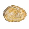 An extra large hollow moroccan geode, showing a geode with tan and white colors with a white background.