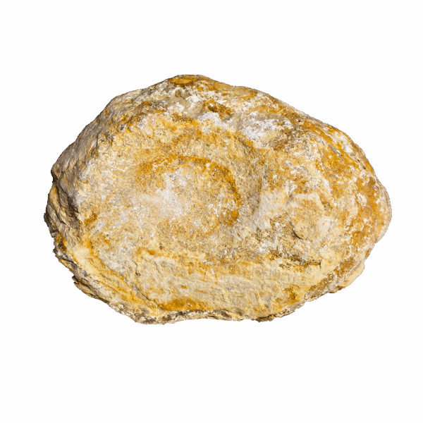 An extra large hollow moroccan geode, showing a geode with tan and white colors with a white background.